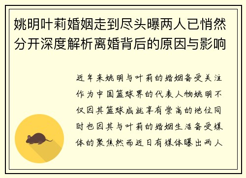 姚明叶莉婚姻走到尽头曝两人已悄然分开深度解析离婚背后的原因与影响